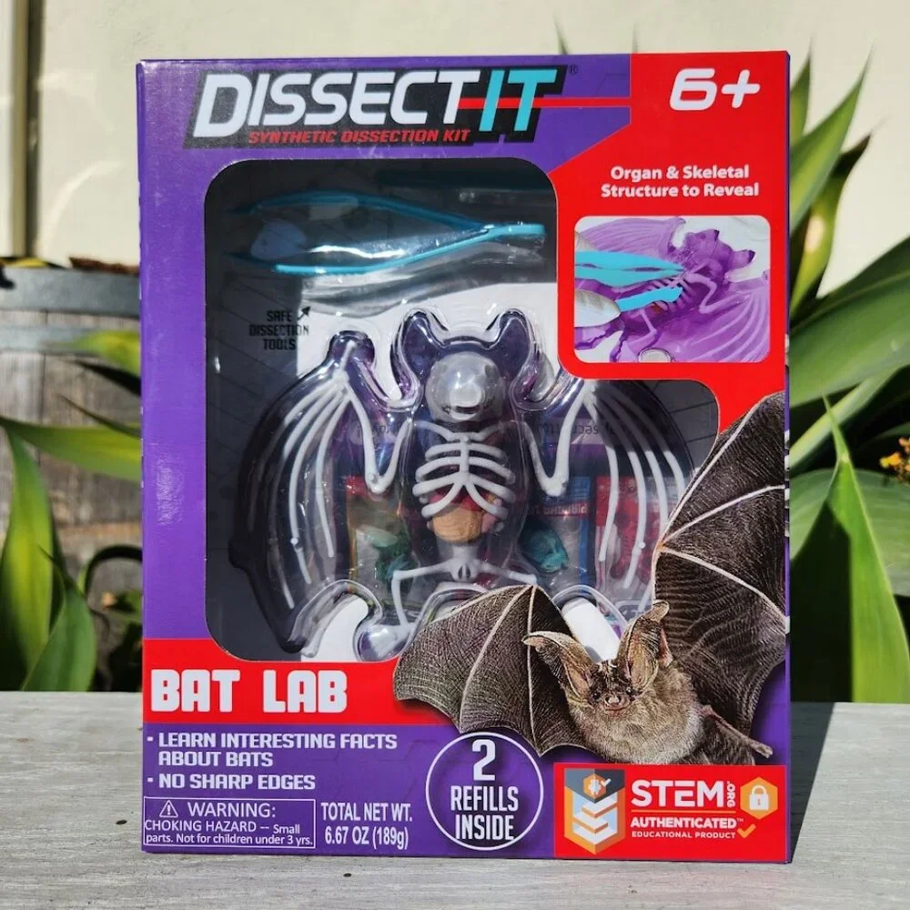 NEW Dissect-it Synthetic Lab Dissection Toy STEM KIT CRAFT Project Bat Biology A